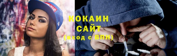 прущие грибы Белокуриха