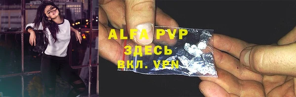 ECSTASY Богданович