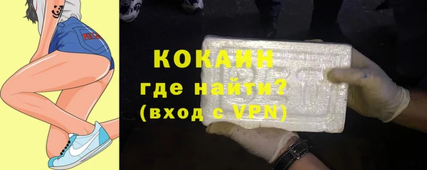 прущие грибы Белокуриха