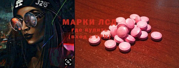 прущие грибы Белокуриха