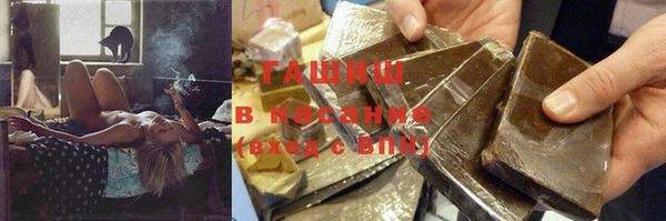 ECSTASY Богданович