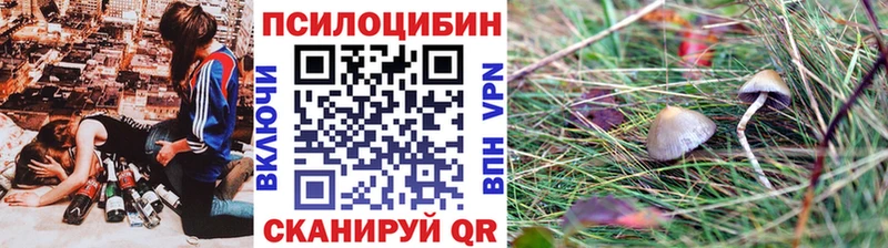 цены   Торжок  Галлюциногенные грибы Magic Shrooms 